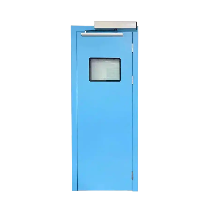 OSIDEK standard manual single-leaf steel cleanroom door featuring an ultra-flush seamless design without crash guards for ultimate contamination control.